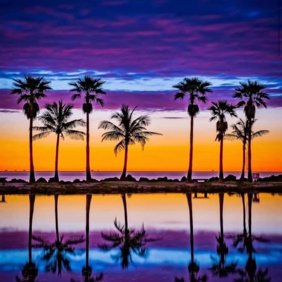 Meet your Posher, Ells - Picture 1 of 1